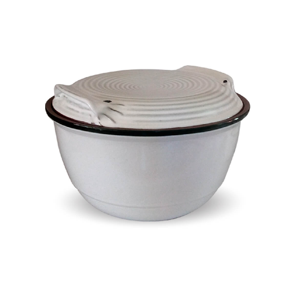 Deep Gourmet Roaster with a Flat Lid - CS