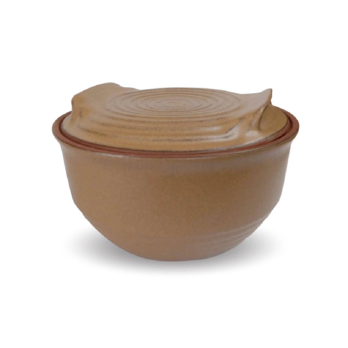 Deep Gourmet Roaster with a Flat Lid - SS