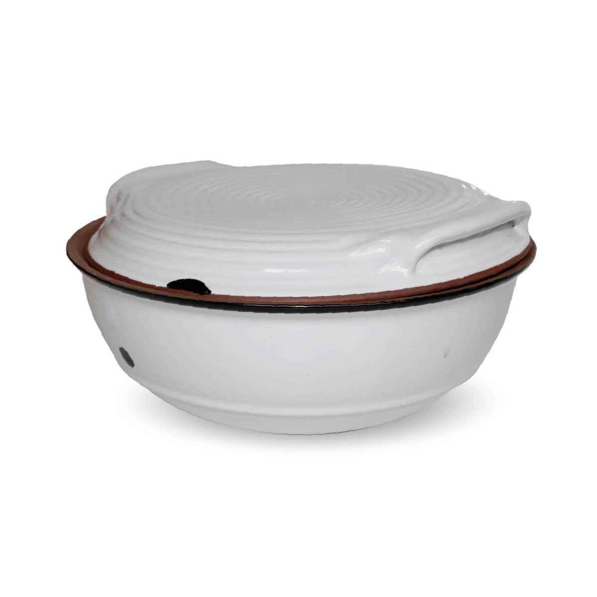 Large Gourmet Roaster with Flat Lid - CS