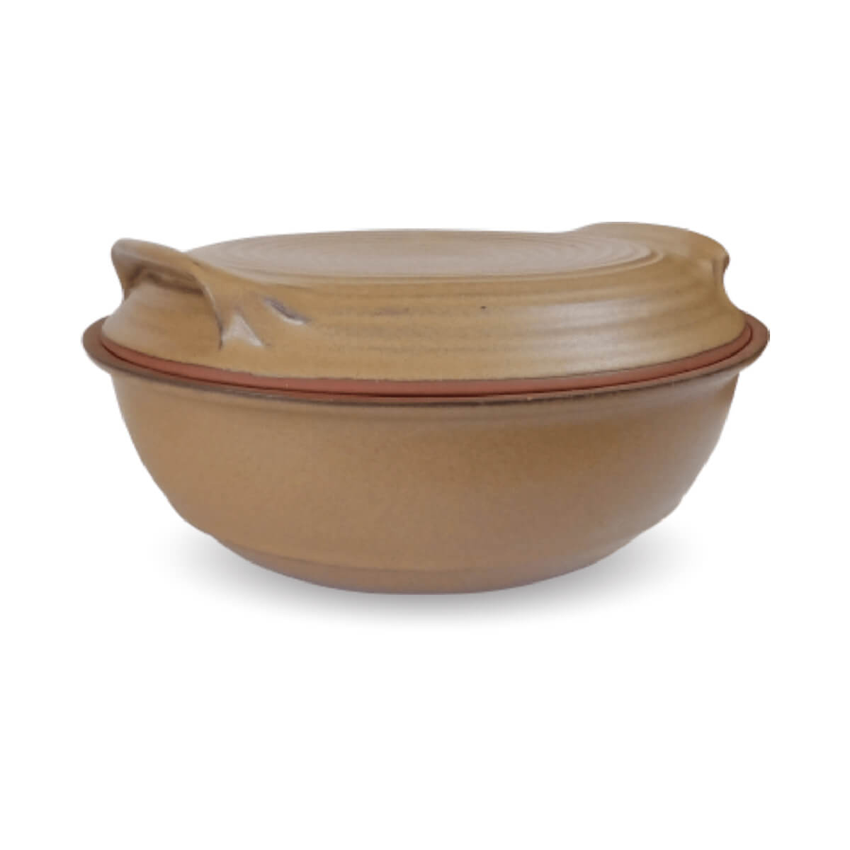 Large Gourmet Roaster with Flat Lid - SS