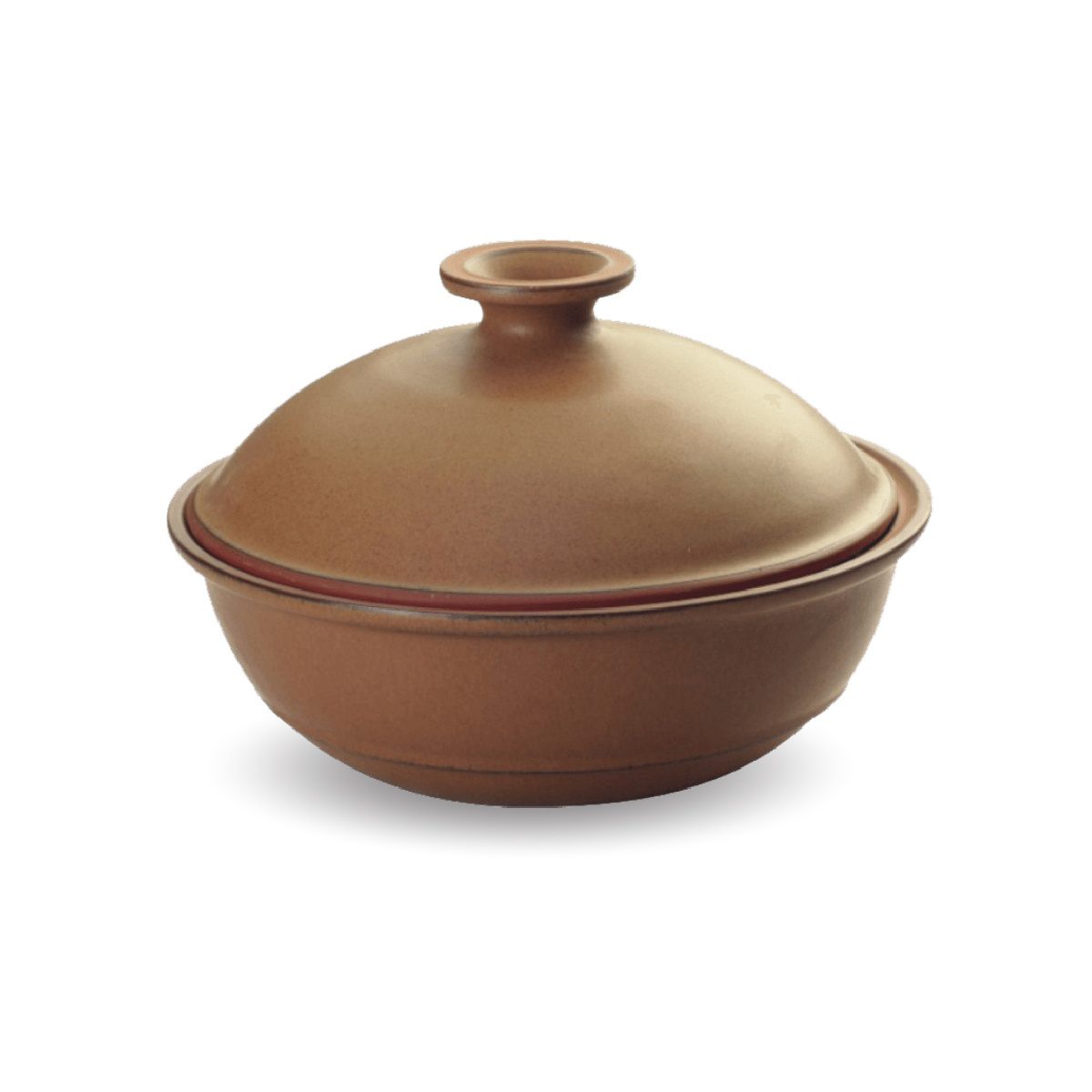 Medium-Gourmet-Roaster-SS-Dome-Lid Medium Gourmet Roaster - SS