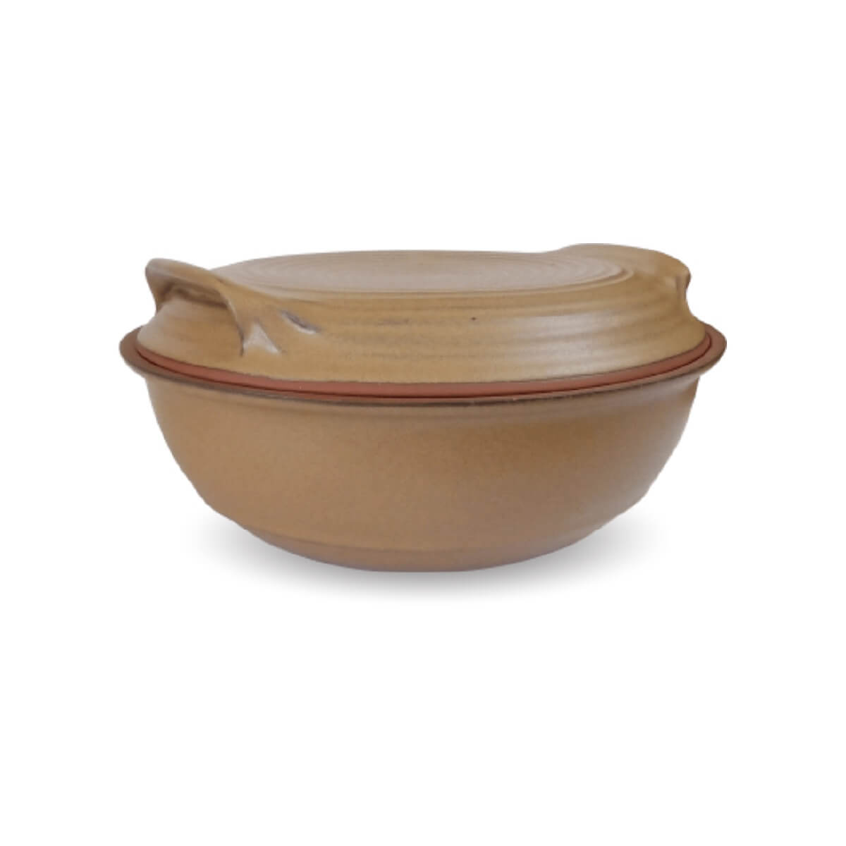 Medium-Gourmet-Roaster-SS-Flat-Lid Medium Gourmet Roaster with a Flat Lid - Sandstorm