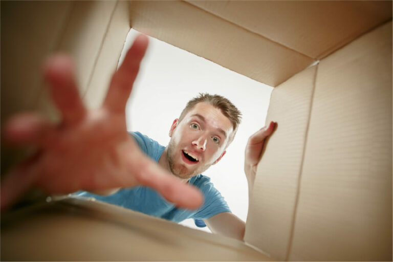 whats in the box